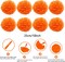 Greentek; 41 Pcs Orange Party Decorations Kit, Tissue Paper Pom Poms, Paper Fans, Tassel Garland, Hanging Swirls, Pennant Banner & Circle Garland for Halloween, Birthday, Wedding, Baby Shower, Festival Decor; Category:Ceiling Decorations; Image:5